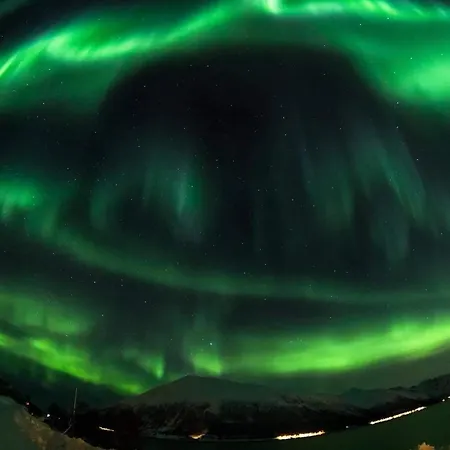 On Whaleisland Appartement