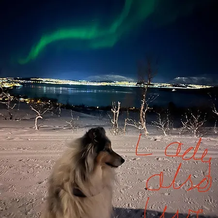 On Whaleisland Eidkjosen