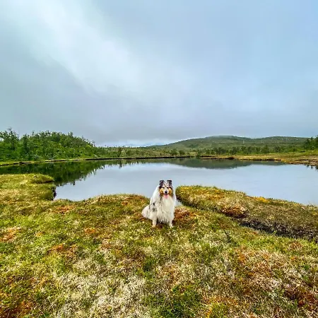 On Whaleisland アパート *