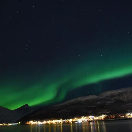 アパート On Whaleisland