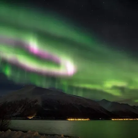 アパート On Whaleisland Eidkjosen